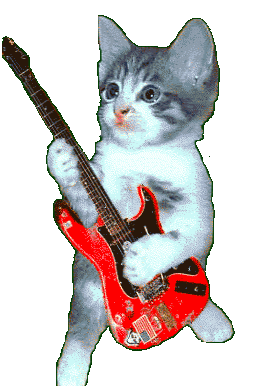FG-Guitar-cat-2.gif