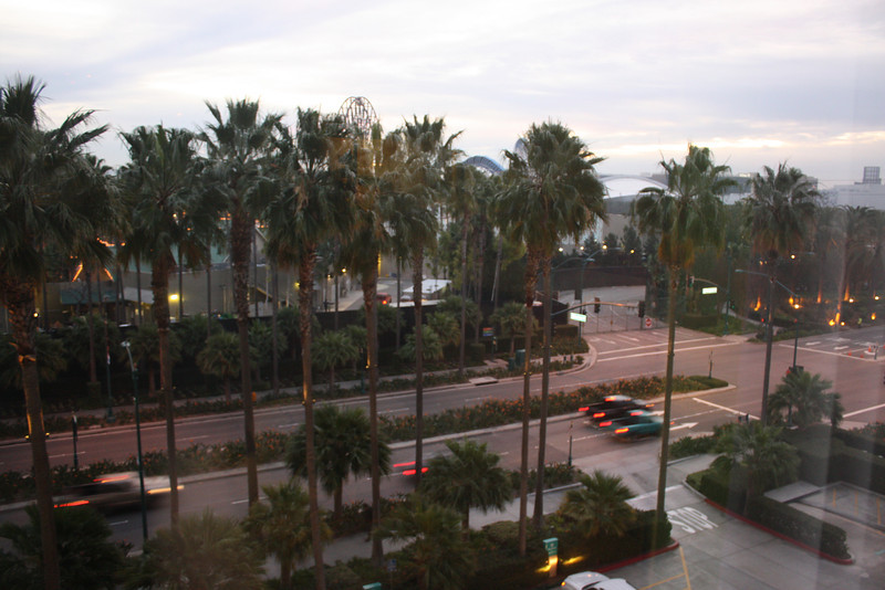 IMG9052-L.jpg