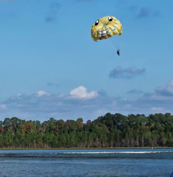 IMG8535ed-crop-L.jpg