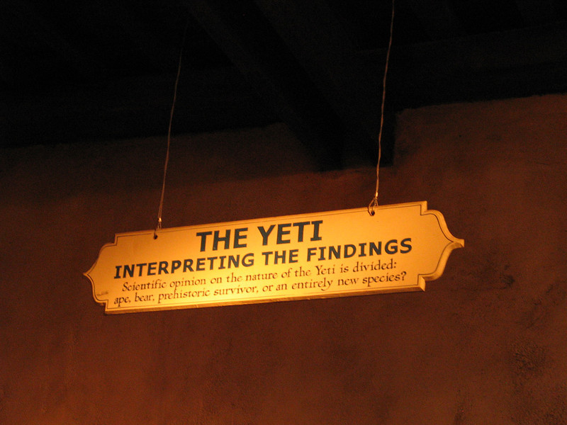 IMG7758-L.jpg