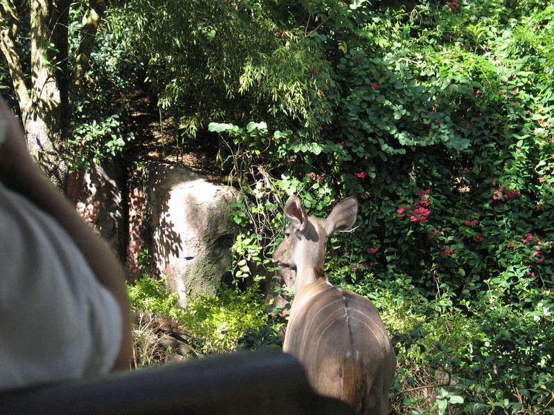 IMG7858-L.jpg