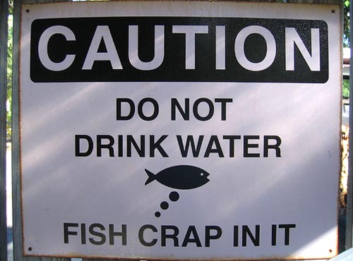 FishCrap.jpg