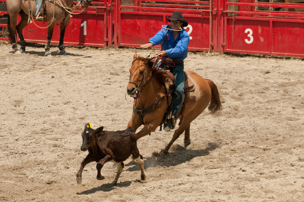 rodeo11-34-XL.jpg