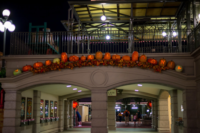 DSC_2663-L.jpg