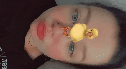 giphy.gif