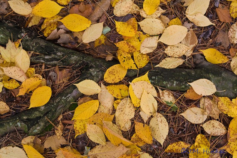 410802527_7HzaV-L.jpg