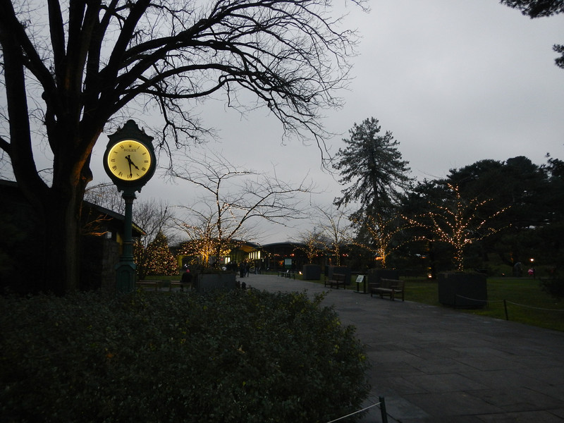 DSCN9629-L.jpg
