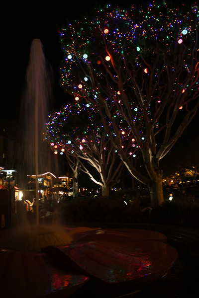 IMG9673-L.jpg