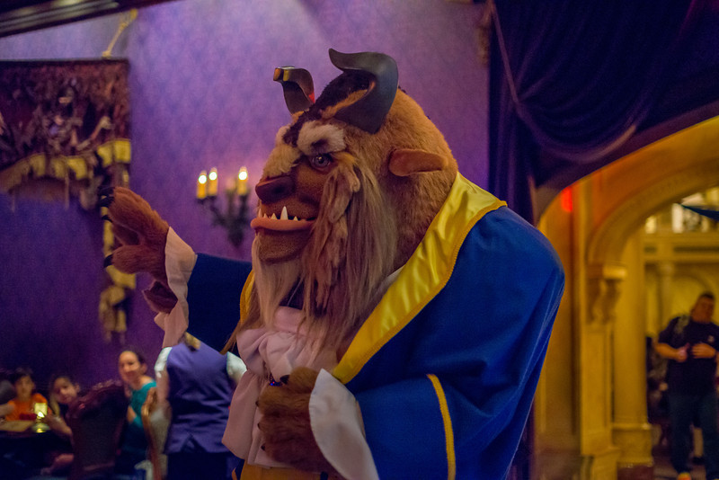 DSC_7386-L.jpg