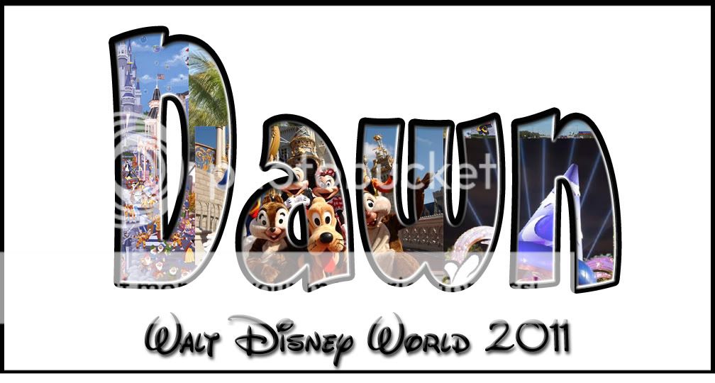 DisneyWorldFillDawn.jpg