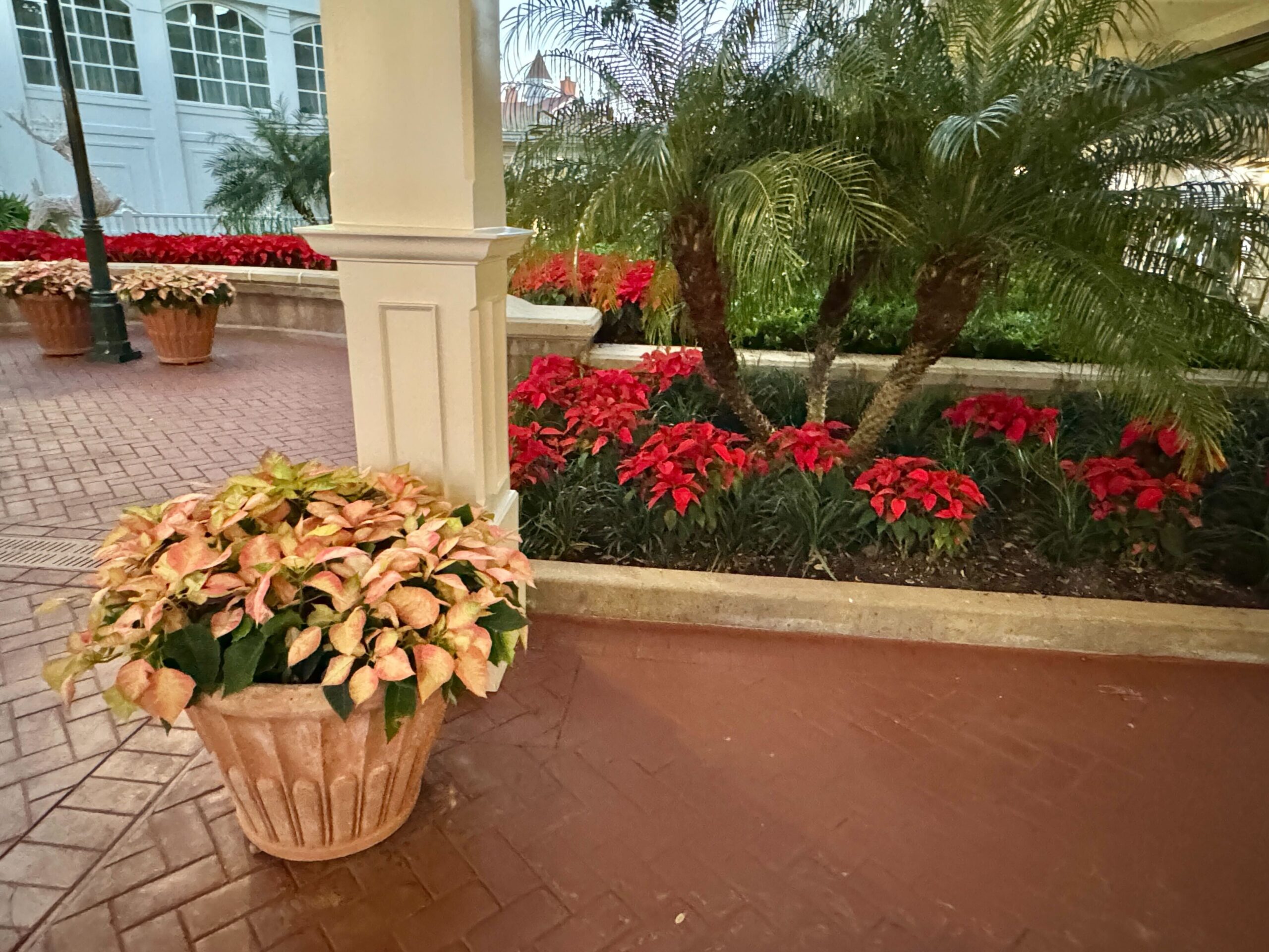 2024-Grand-Floridian-Holidays-MG_1303-scaled.jpg