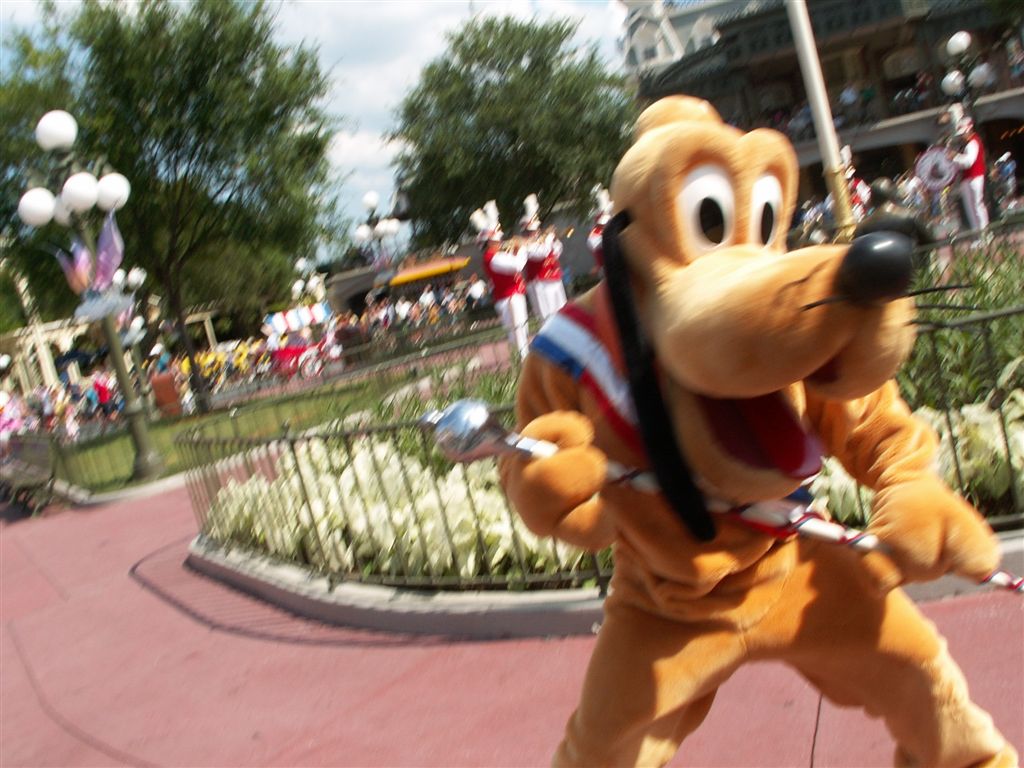 WDW06-15-07%20098.jpg