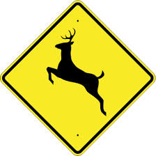 deerxing2.jpg