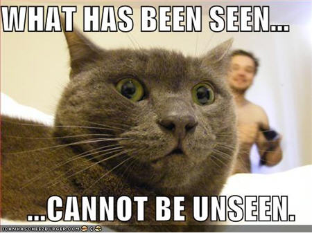 lolcats-seen-unseen.jpg