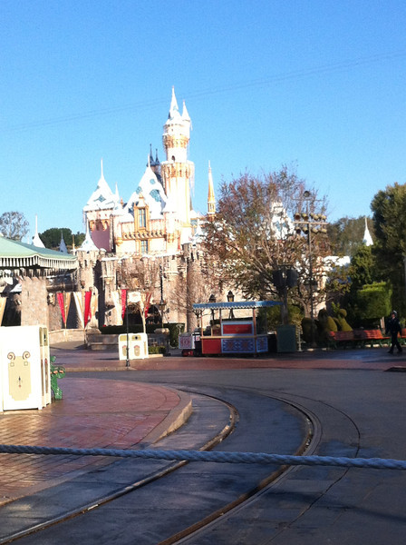 IMG4833-L.jpg