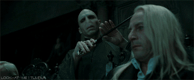 tumblr_ljp4spZ4N31qbhhcdo1_400.gif