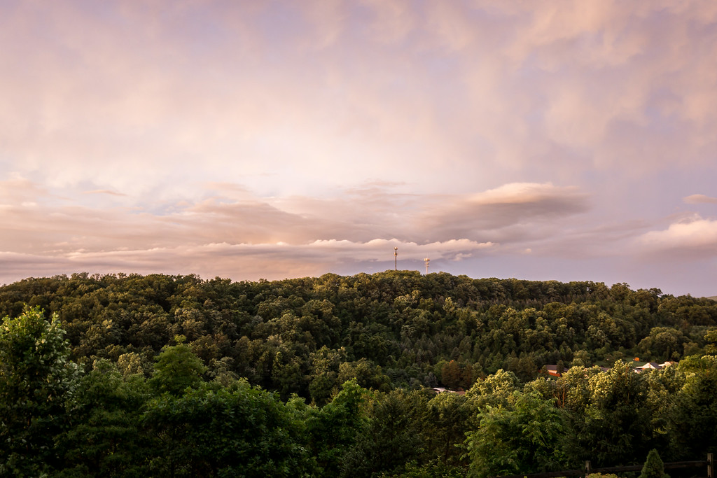 DSC09051-XL.jpg