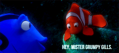 tumblr_lp8chpGPdz1qm6oc3o1_500.gif