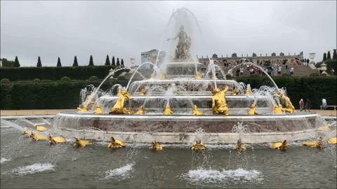 giphy.gif