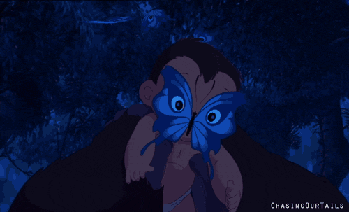 tumblr_ldlpfgVI2b1qb5b3po1_500.gif