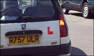 _38746039_learner300.jpg