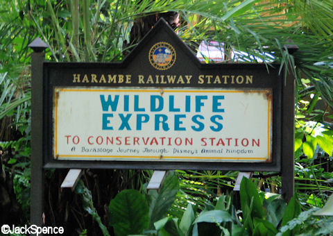 Conservation%20Station%2002.jpg