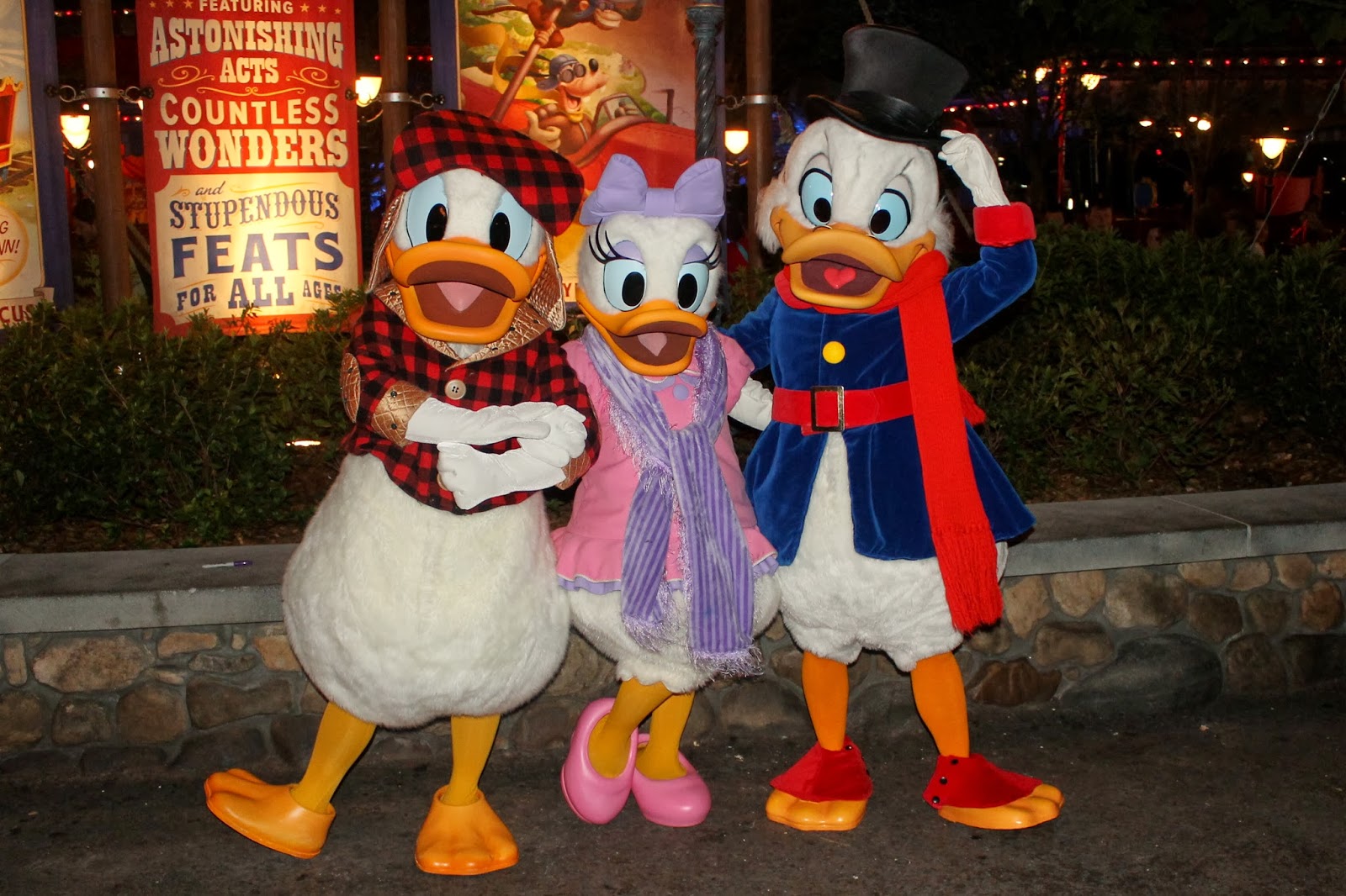 UDCHG+Ducks.jpg