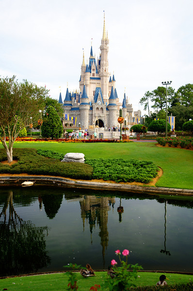 DSC7645-L.jpg