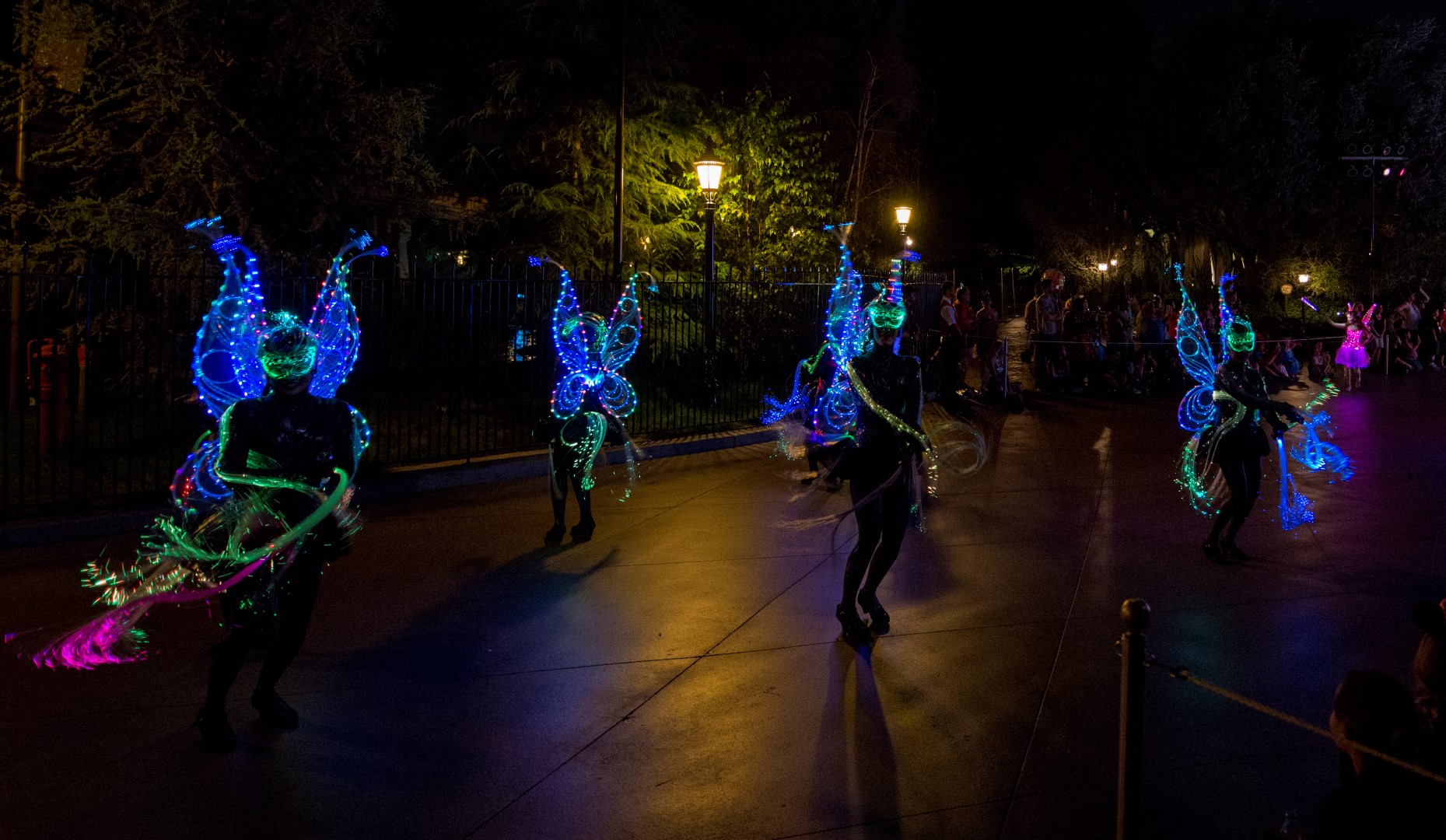 DSC_4367%20(Large).jpg