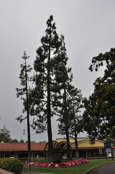 600400707_5zDDH-L.jpg