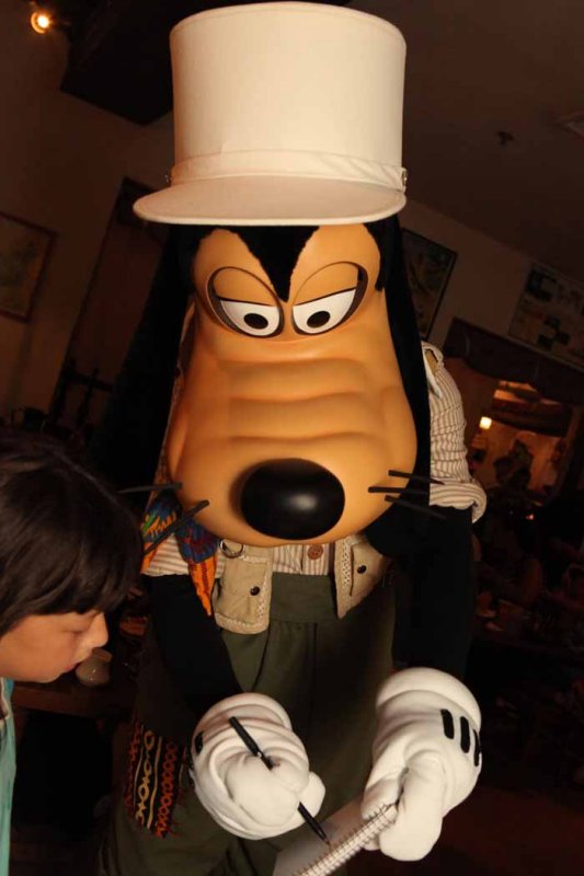 large.jpg