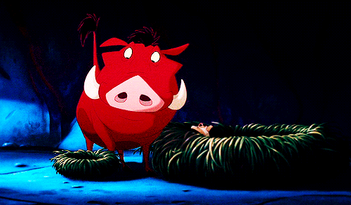 tumblr_lni8h8mE3Q1qfy066o1_500.gif