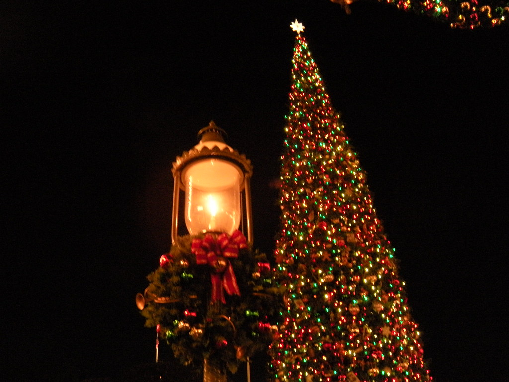 11505428115_b6a11a05b8_b.jpg