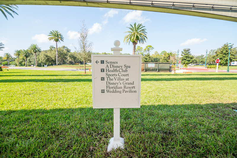 DSC_0542-L.jpg