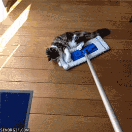 SwNQGCv5mE9ri.gif