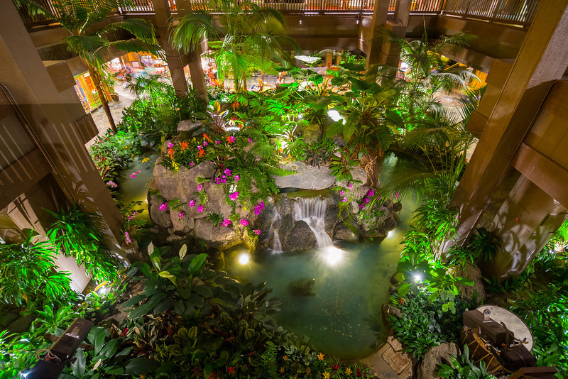 DSC_1529-L.jpg