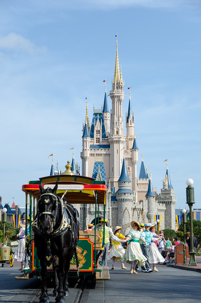 DSC0546-L.jpg
