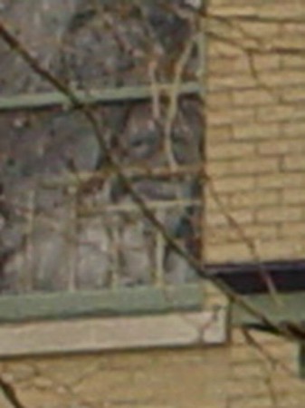 2040737_yYL5M-M.jpg