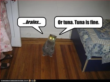 Zombie-Cat.jpg