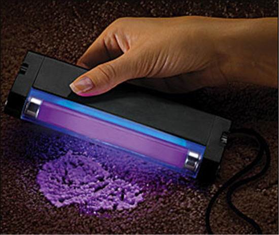 stain-detector-light.jpg