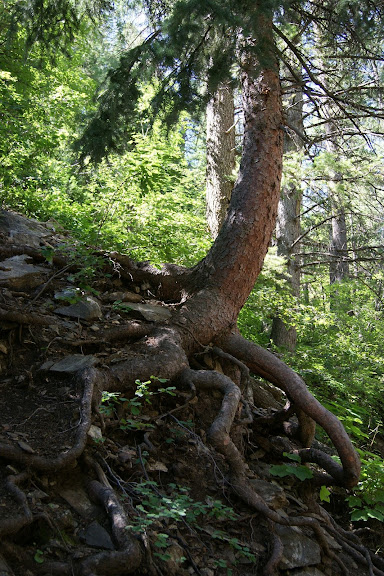 DSC03680.JPG