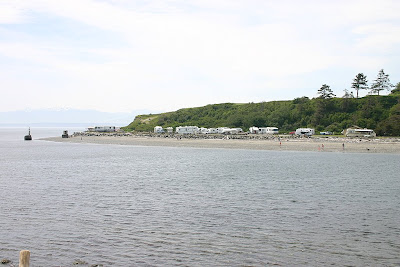 IMG_5484.JPG