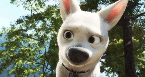 tumblr_lr4d8qYPCj1qm6oc3o1_500.gif