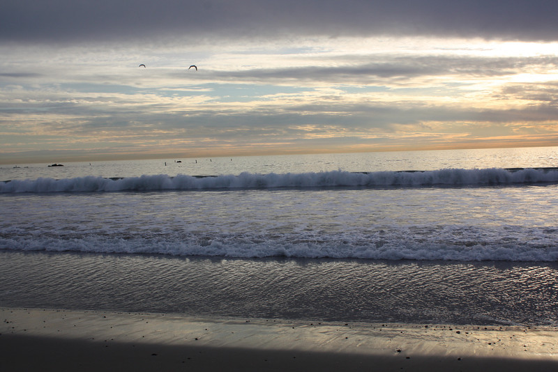 IMG_1060-L.jpg