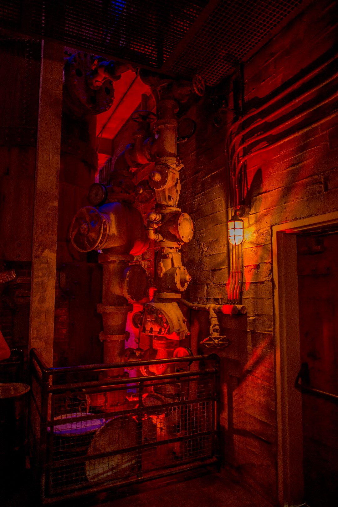 DSC_2095%20(Large).jpg