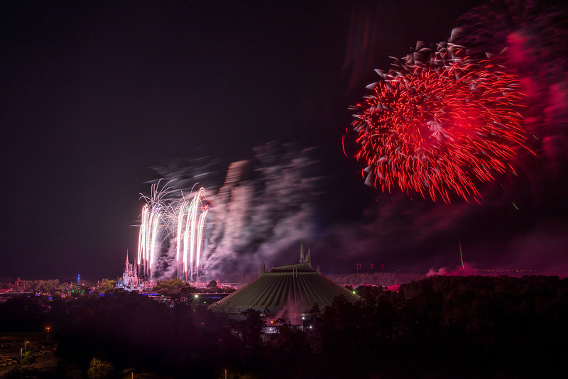 DSC_2664-L.jpg