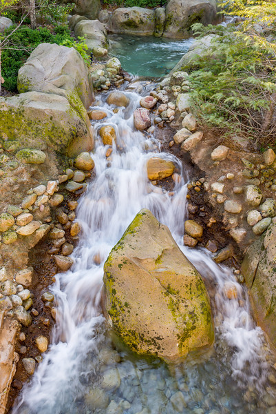 DSC_3575-L.jpg