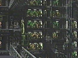 hive1.jpg