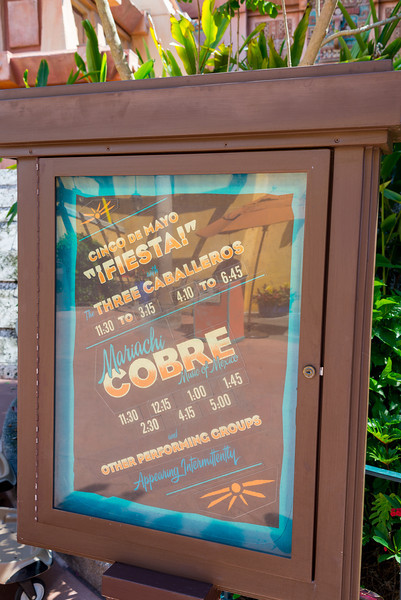 DSC_2430-L.jpg