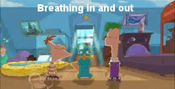 tumblr_lpkal0nj881qkj77do5_250.gif